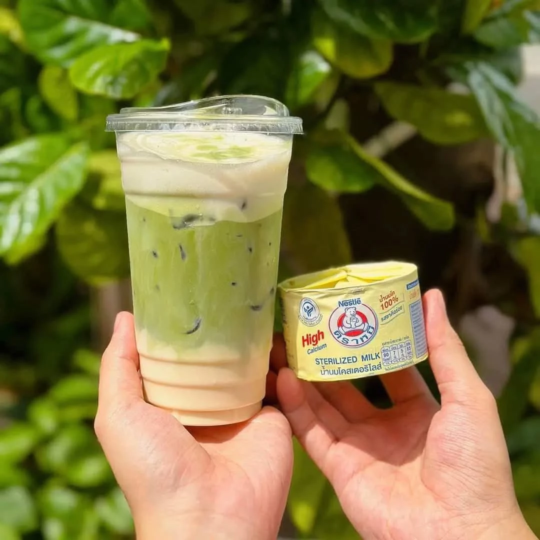 Matcha sữa gấu