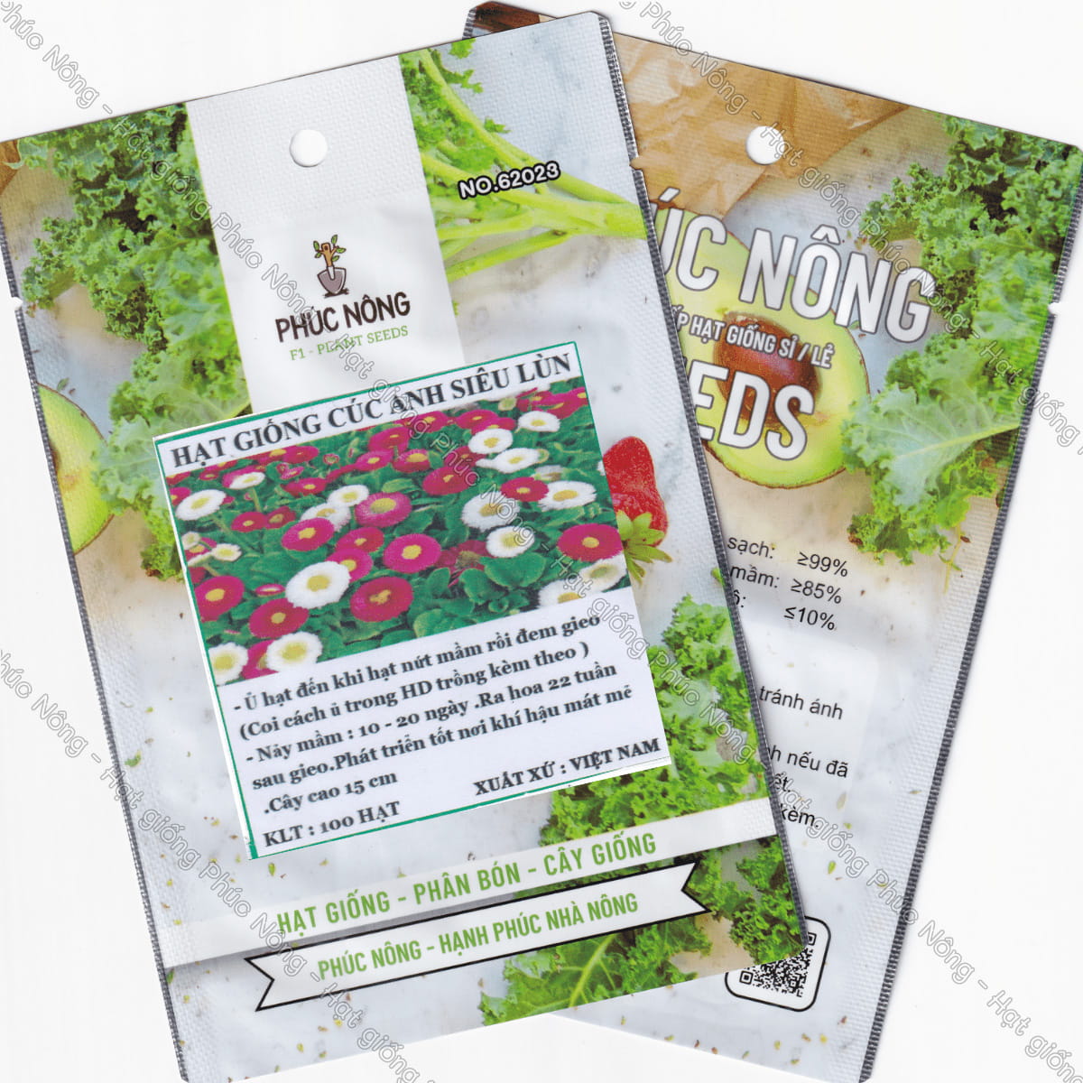 Hạt giống Hoa Cúc Anh Tròn Lùn – Gói 100 Hạt