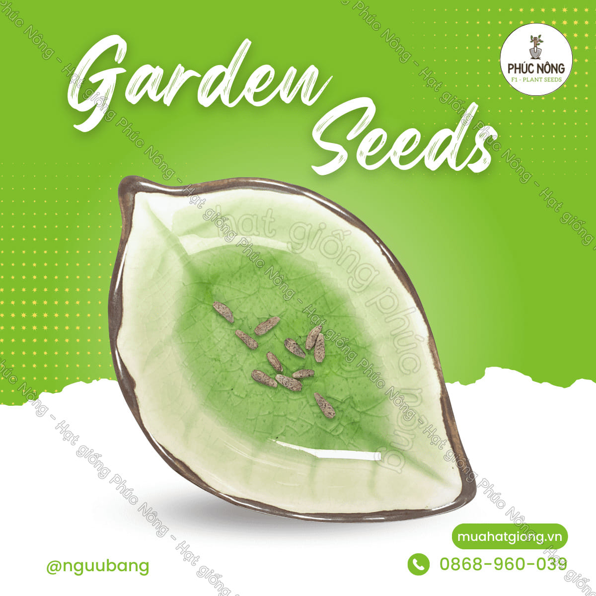 Hạt giống Ngưu Bàng – Gói 10 Hạt