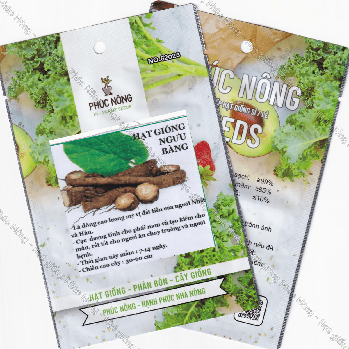 Hạt giống Ngưu Bàng – Gói 10 Hạt