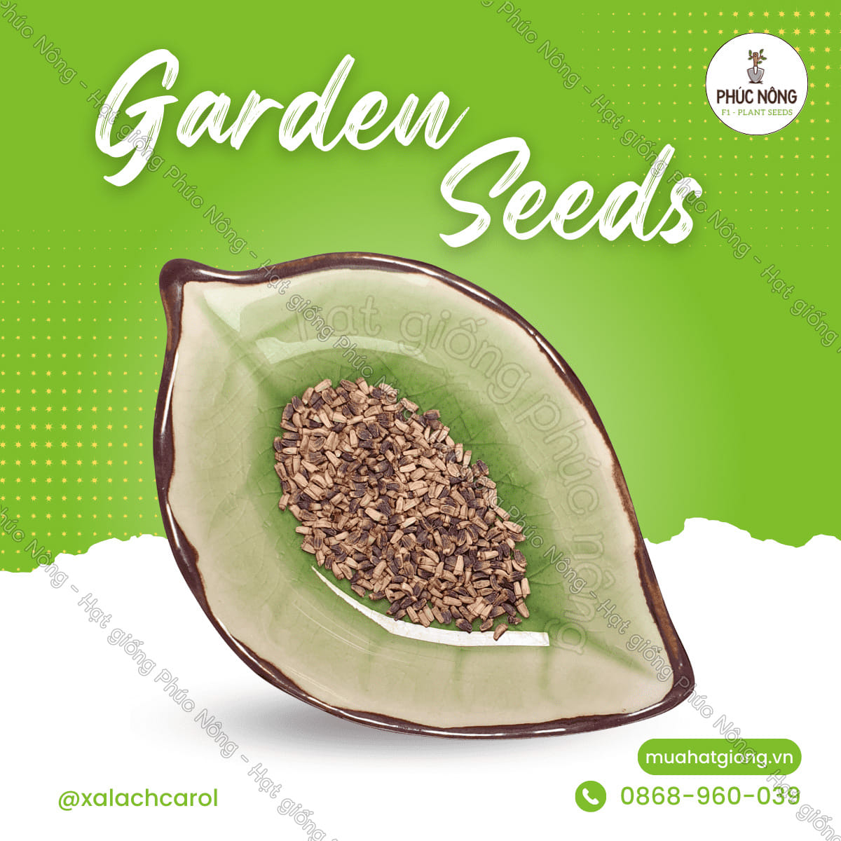 Hạt giống Xà Lách Carol Đà Lạt – Gói 1 Gram