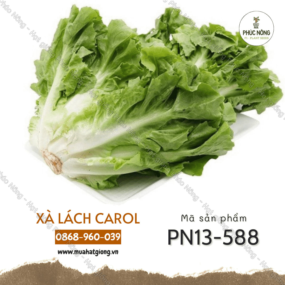 Hạt giống Xà Lách Carol Đà Lạt – Gói 1 Gram